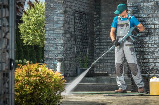 Best Roof Washing  in Wyanet, IL