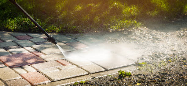 Best Sidewalk and Walkway Cleaning  in Wyanet, IL