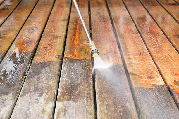 Animal Enclosure Cleaning in Wyanet, IL